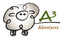 a3