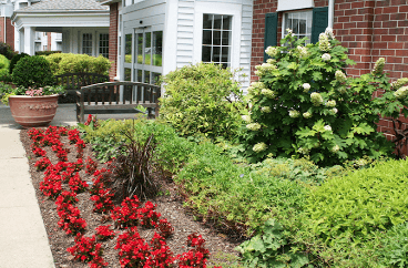 greenleaf landscapes